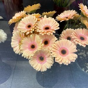 Meet your Posher, Lauryn